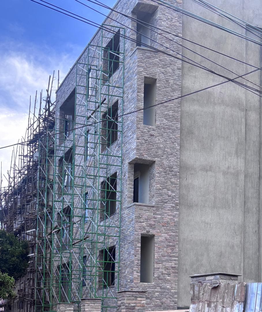 Stone-clad apartment side elevation with scaffolding and unfinished openings